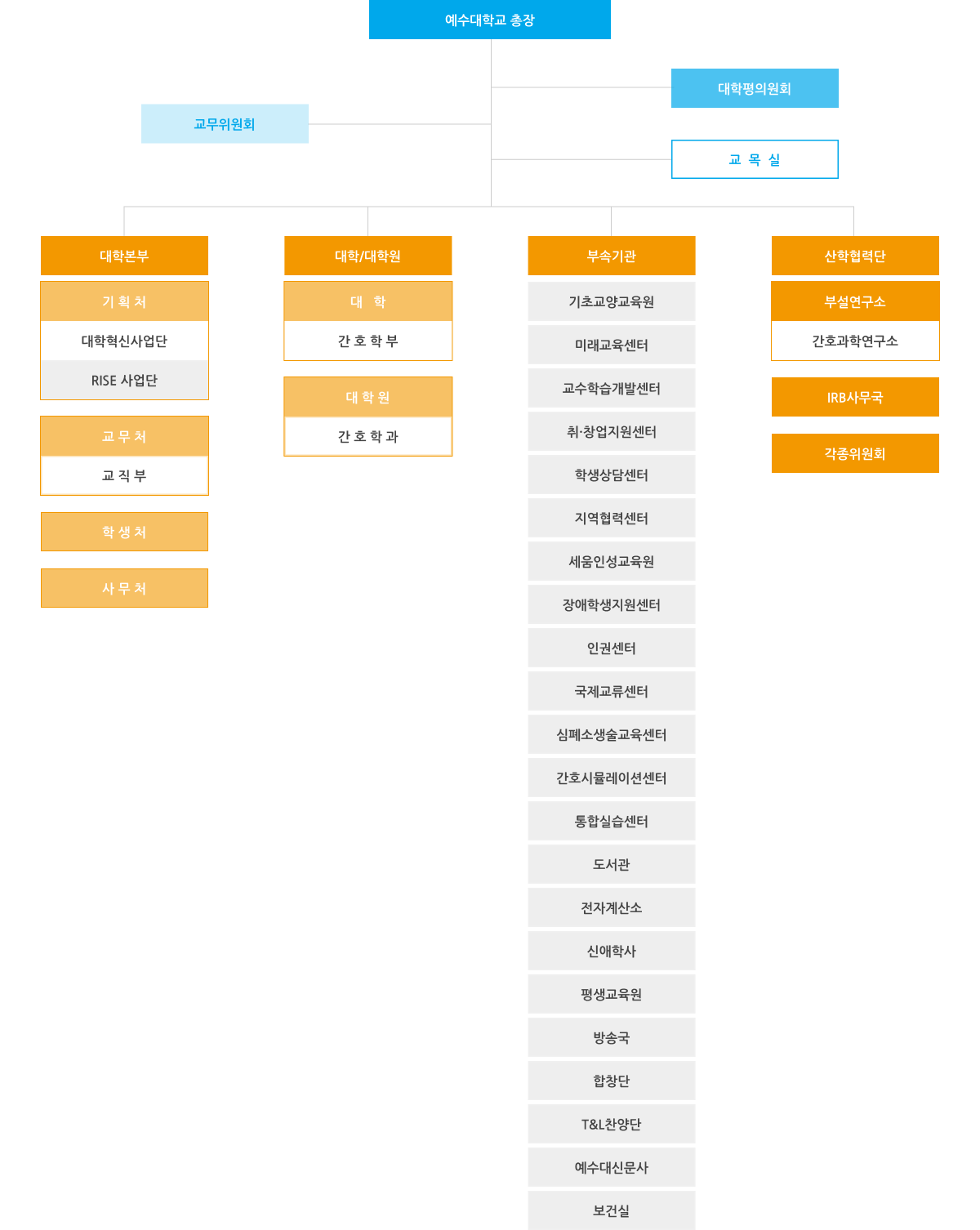 예수대학교 조직구성도, 총장, 대학본부, 대학/대학원